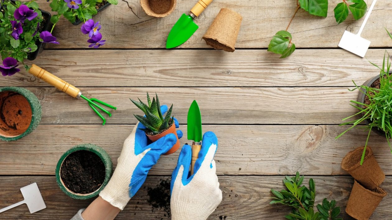 jardim-ferramentas-jardinagem-lojastander