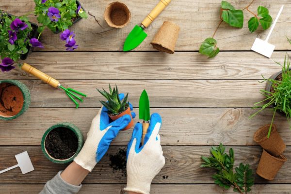 jardim-ferramentas-jardinagem-lojastander